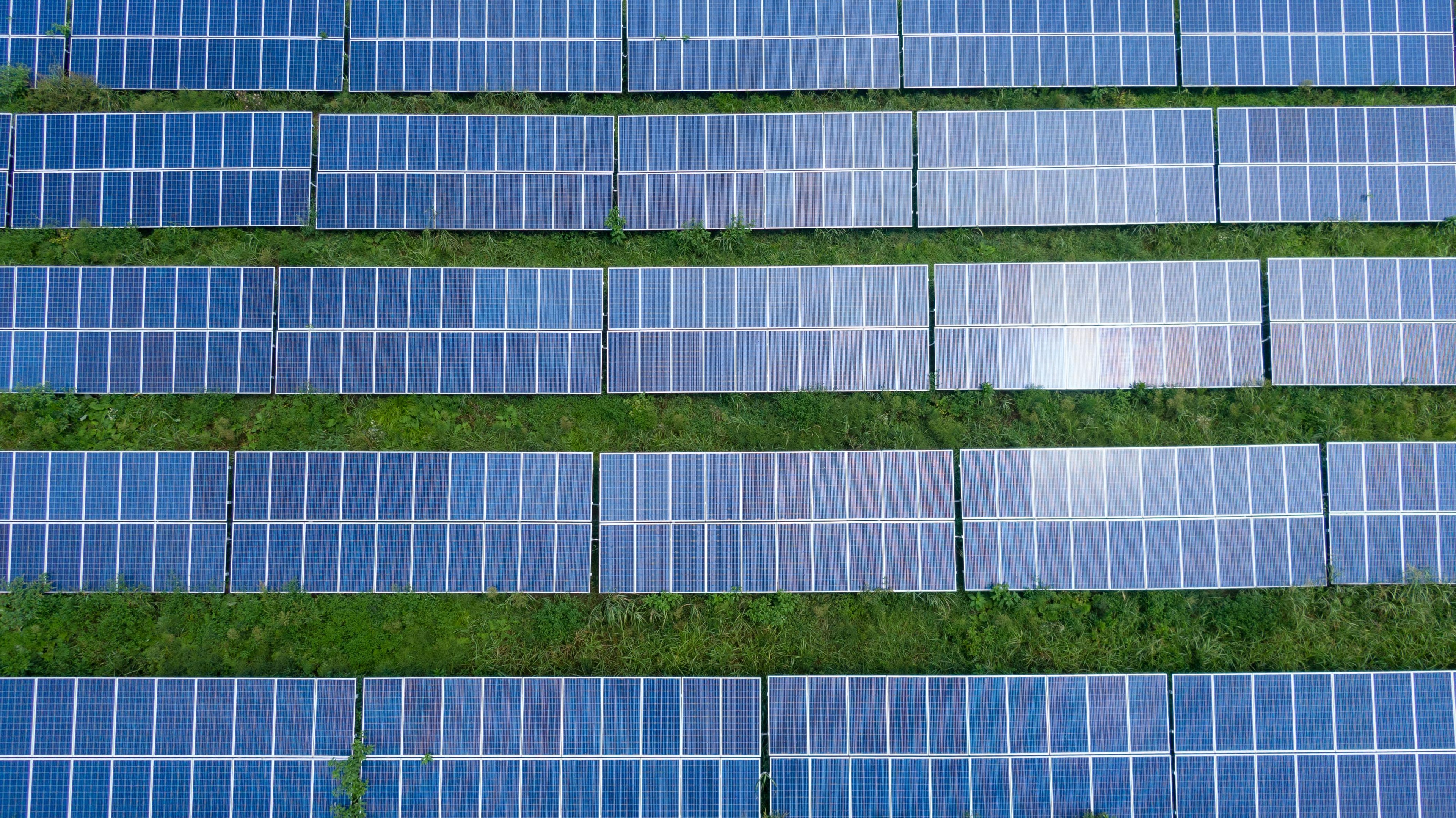 O papel da ERSE no mercado energético